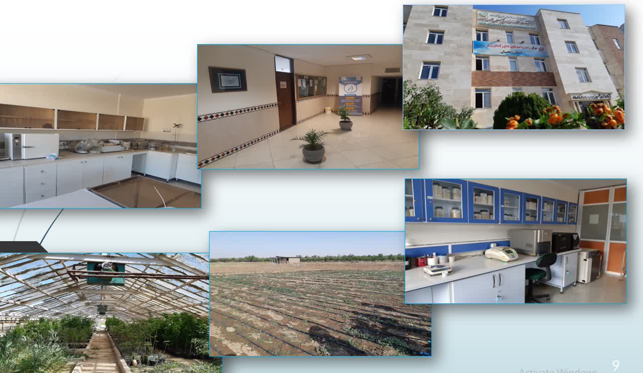 مرکز رشد مشترک مرکز تحقیقات کشاورزی